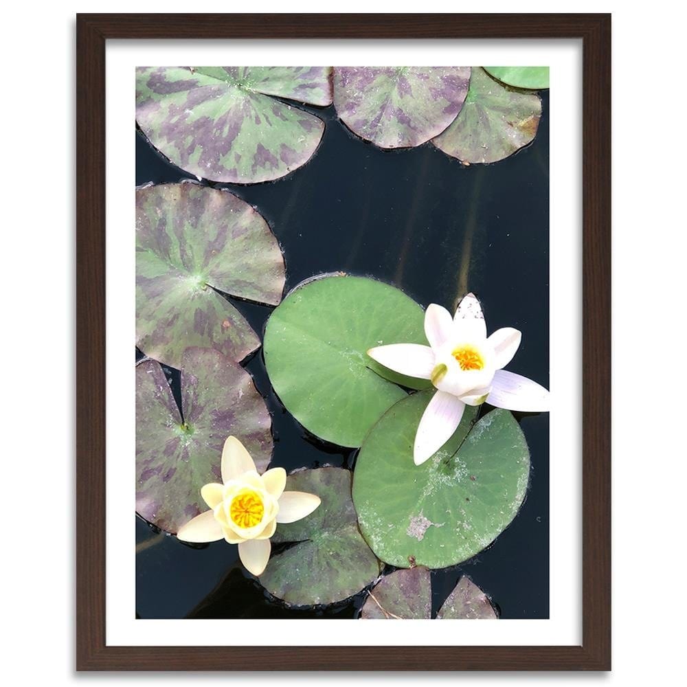 Glezna brūnā rāmī - Two Water Lilies Home Trends DECO