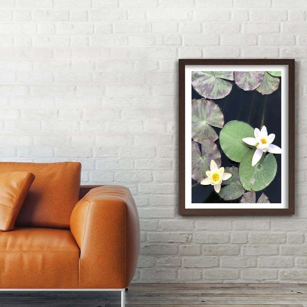 Glezna brūnā rāmī - Two Water Lilies Home Trends DECO