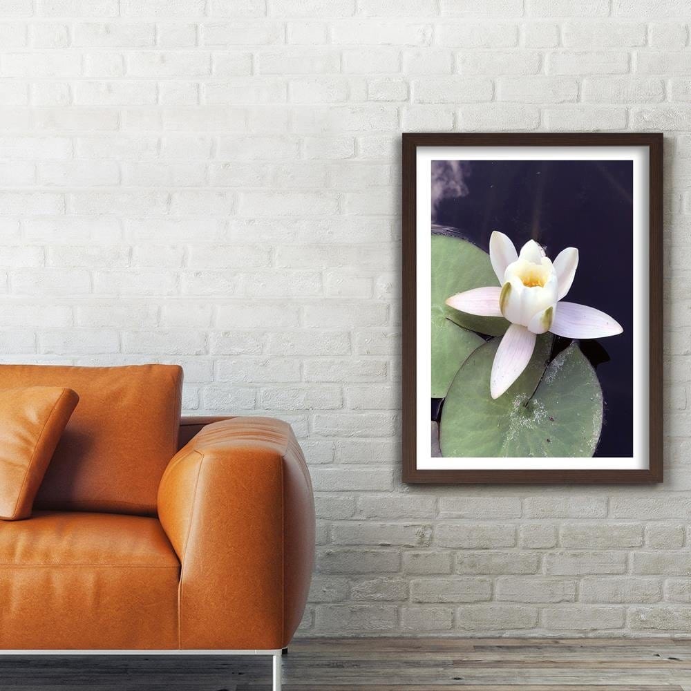 Glezna brūnā rāmī - Water Lily Flower Home Trends DECO