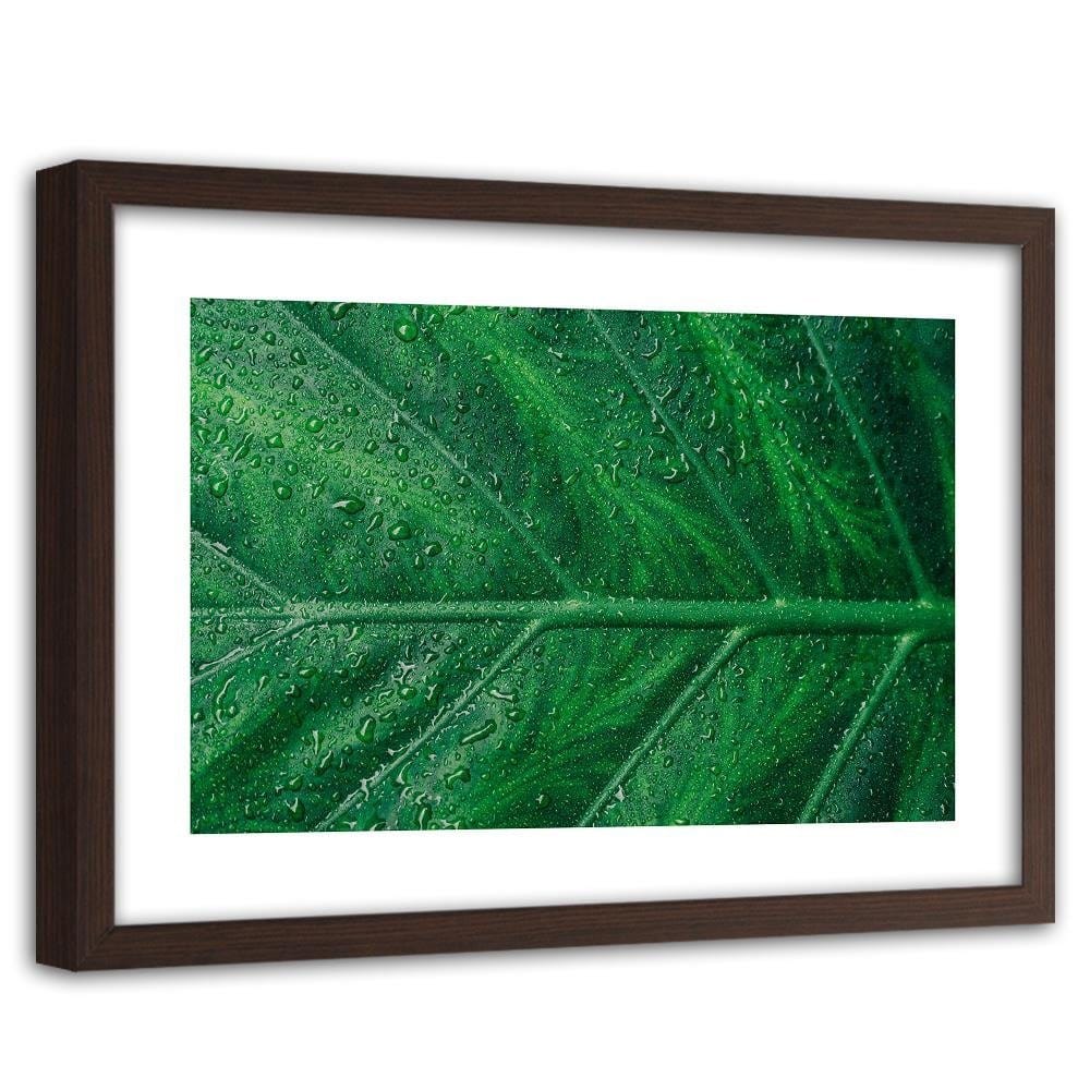 Glezna brūnā rāmī - Wet Leaf Close Up Home Trends DECO