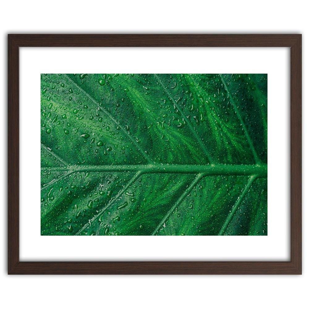 Glezna brūnā rāmī - Wet Leaf Close Up Home Trends DECO