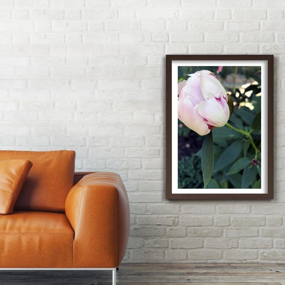 Glezna brūnā rāmī - White Peony Home Trends DECO