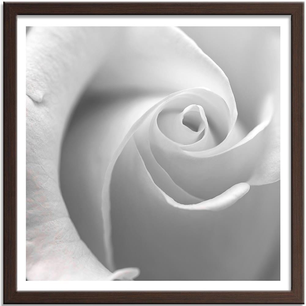 Glezna brūnā rāmī - White Rose Home Trends DECO