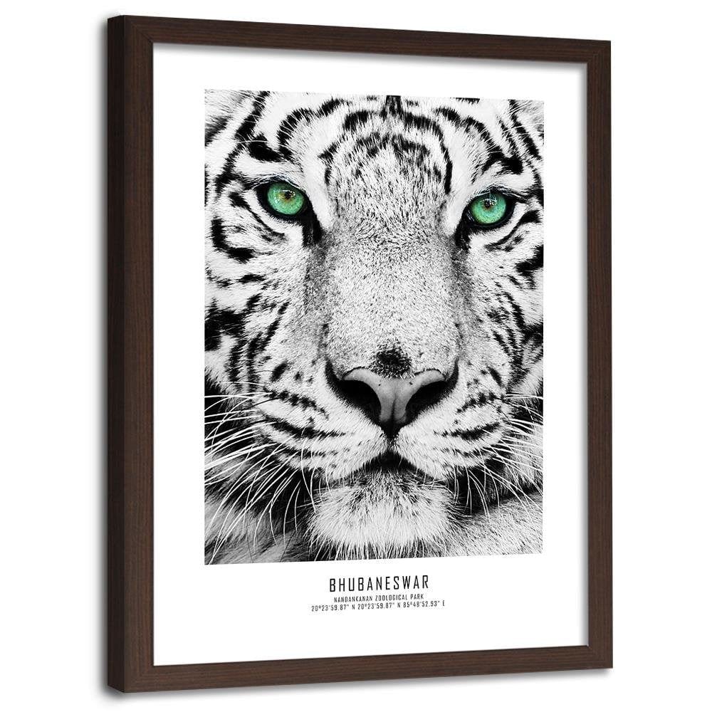 Glezna brūnā rāmī - White Tiger Home Trends DECO