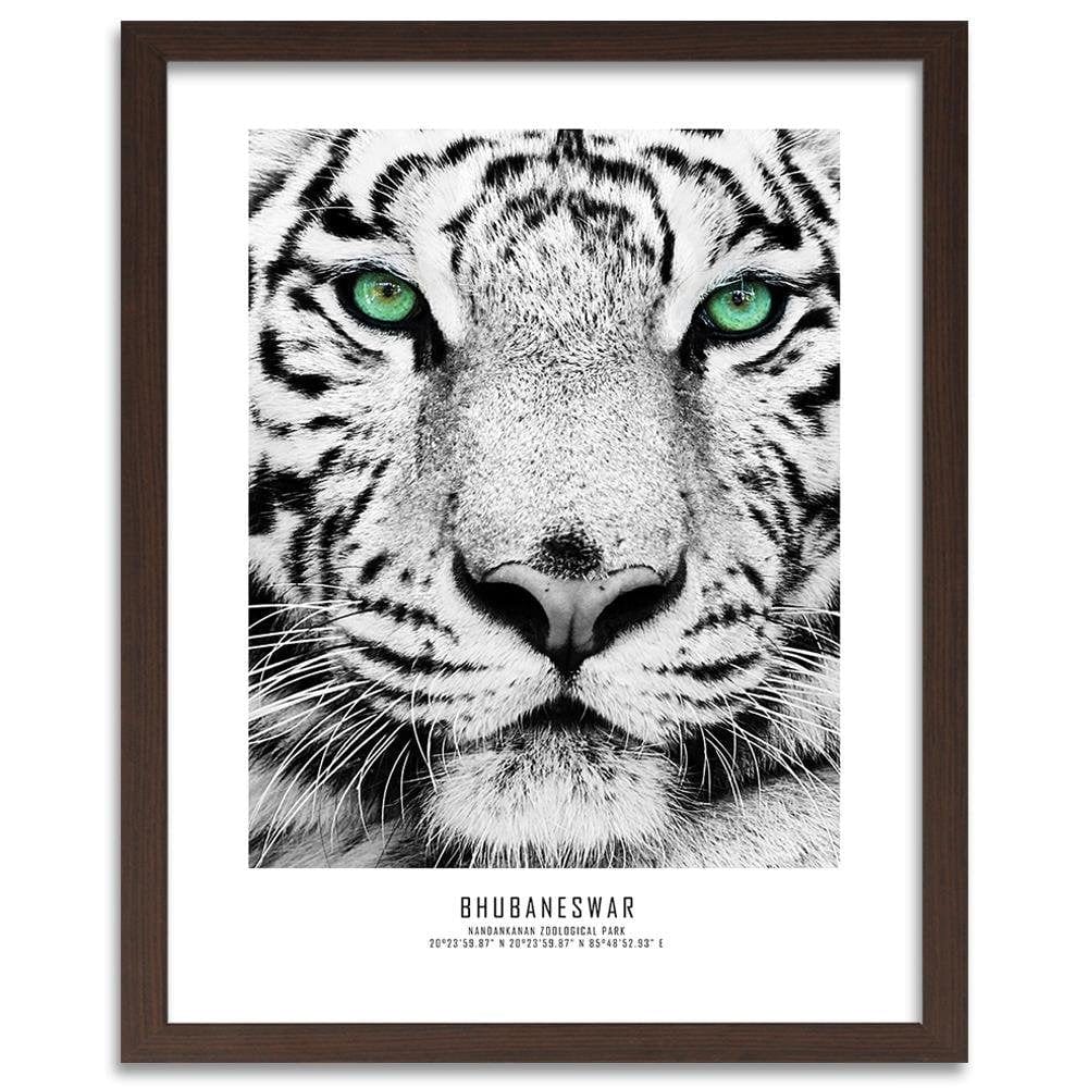 Glezna brūnā rāmī - White Tiger Home Trends DECO