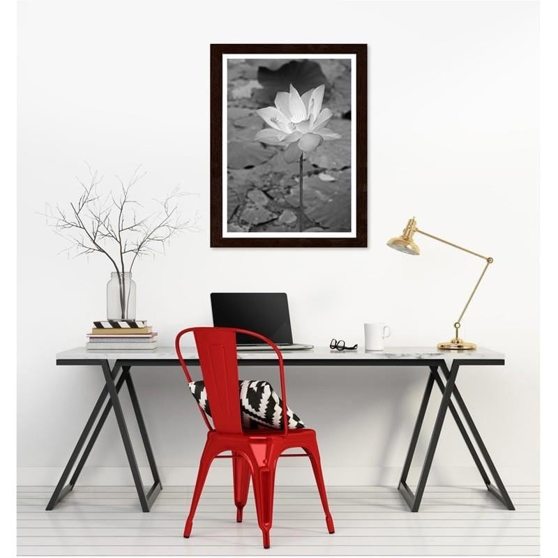 Glezna brūnā rāmī - White water lily Home Trends DECO