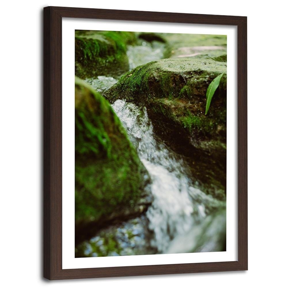 Glezna brūnā rāmī - Wild River Home Trends DECO