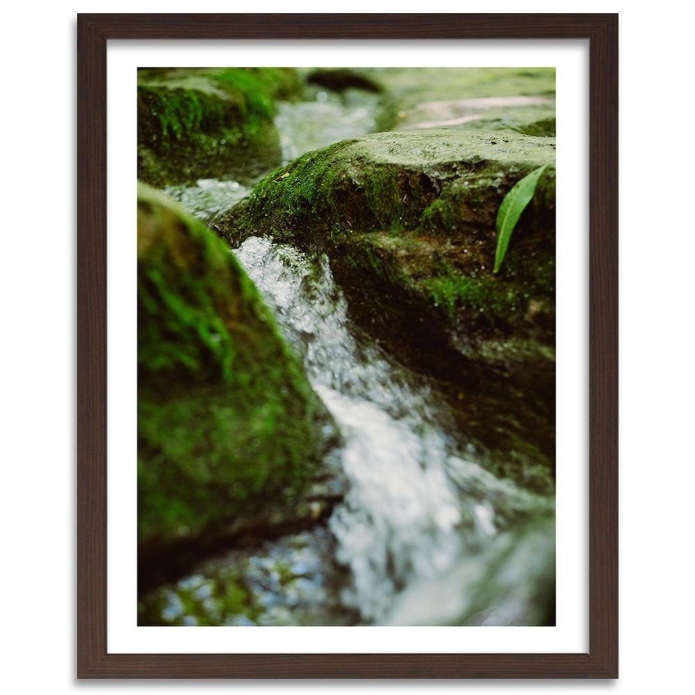 Glezna brūnā rāmī - Wild River Home Trends DECO