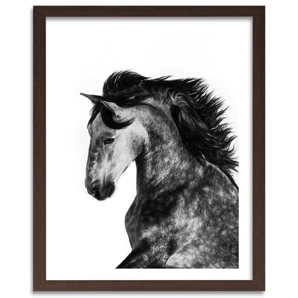 Glezna brūnā rāmī - Wild Steed Home Trends DECO