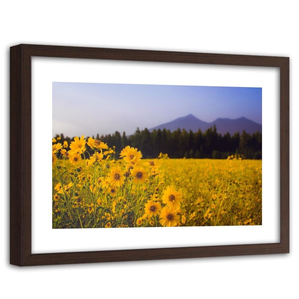 Glezna brūnā rāmī - Wild Yellow Flower Home Trends DECO
