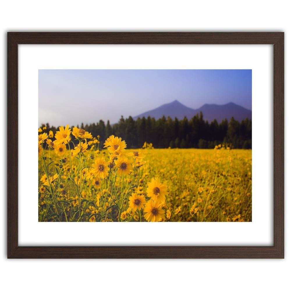 Glezna brūnā rāmī - Wild Yellow Flower Home Trends DECO