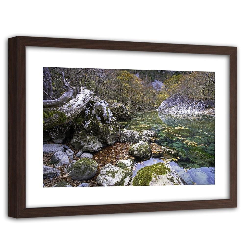 Glezna brūnā rāmī - Wildlife Home Trends DECO