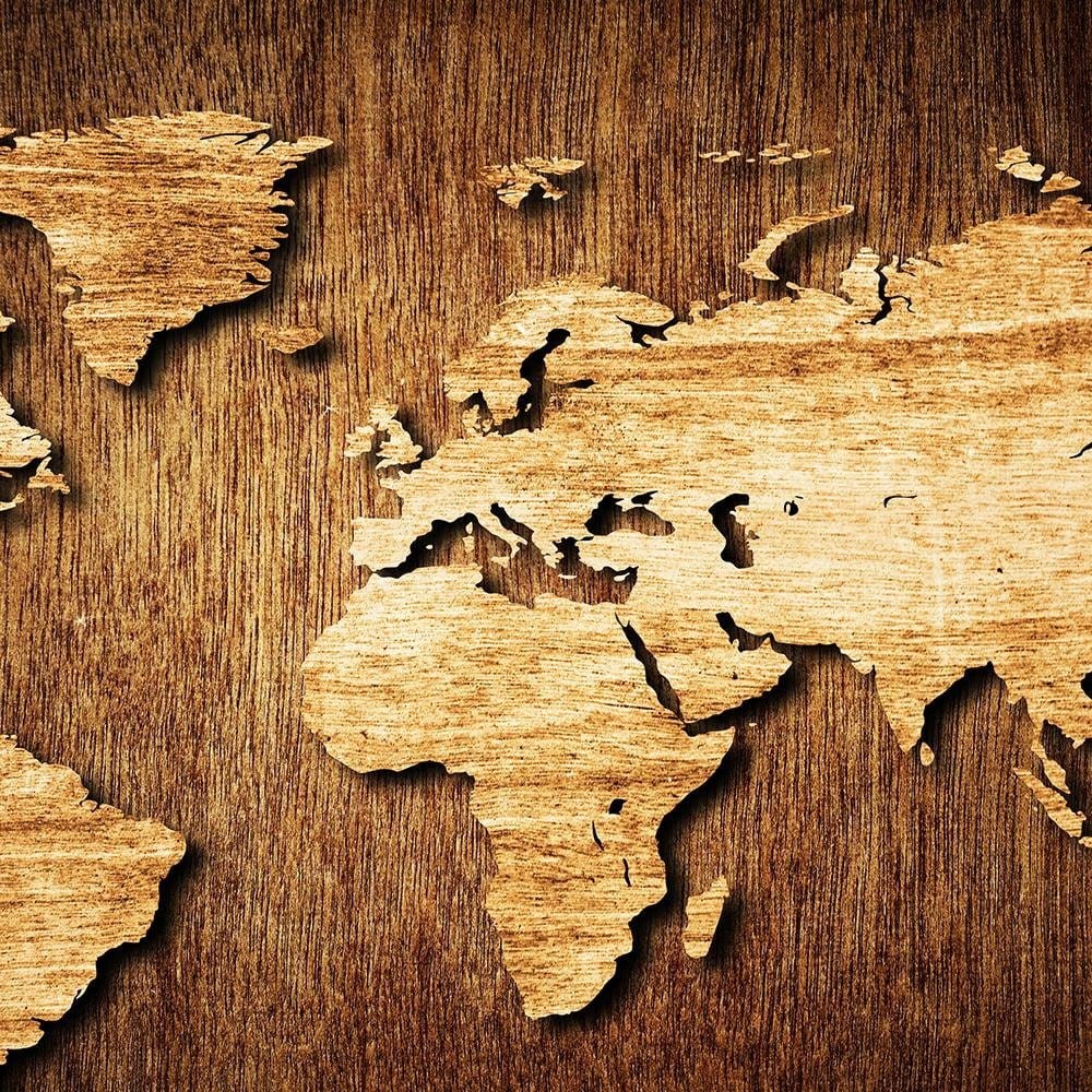 Glezna brūnā rāmī - Wooden World Map Home Trends DECO