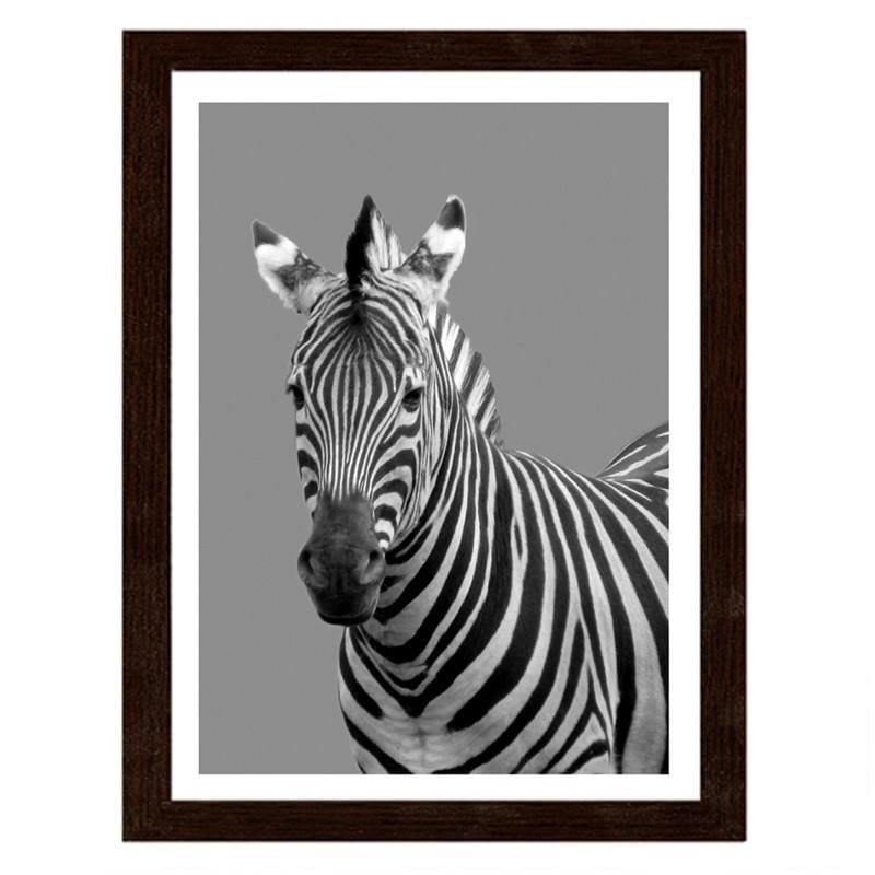 Glezna brūnā rāmī - Zebra in black and white Home Trends DECO