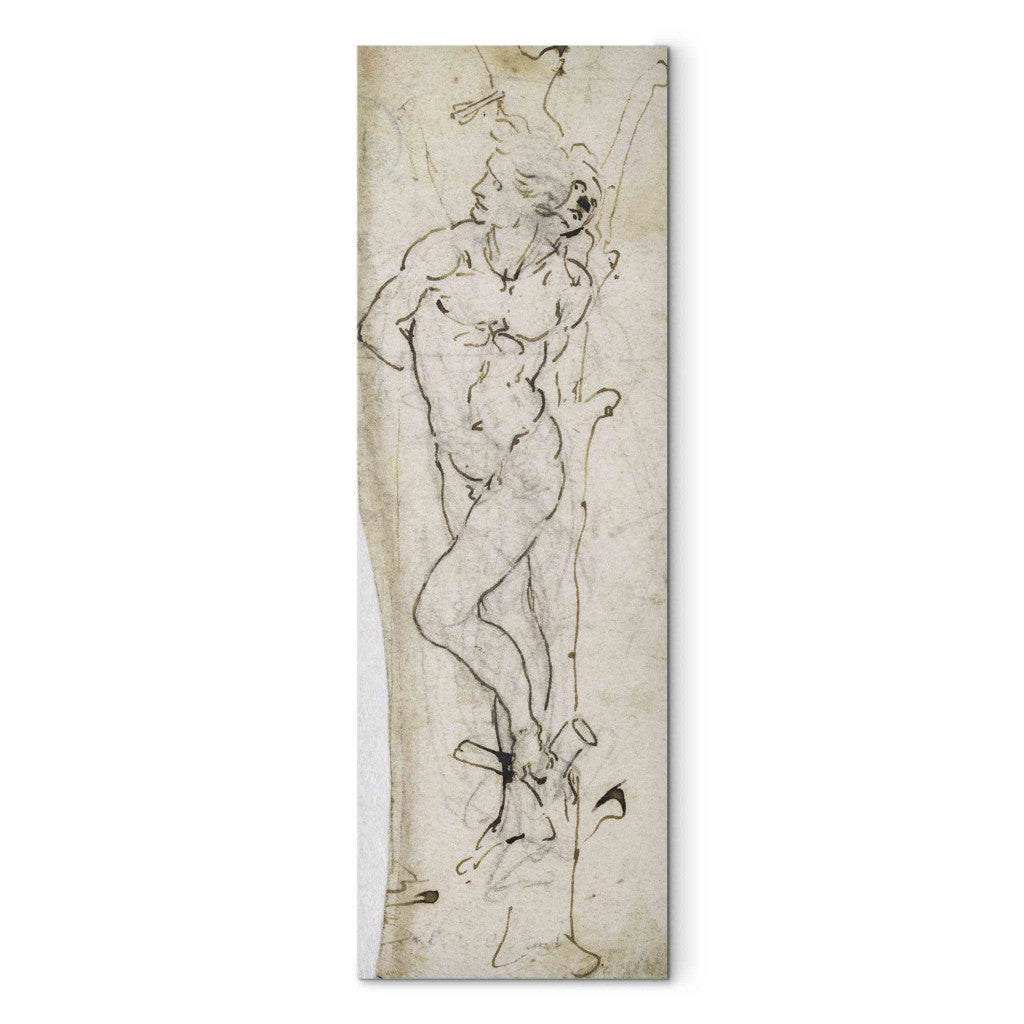 Gleznas reprodukcija - Leonardo da Vinci - Study of St. Sebastian