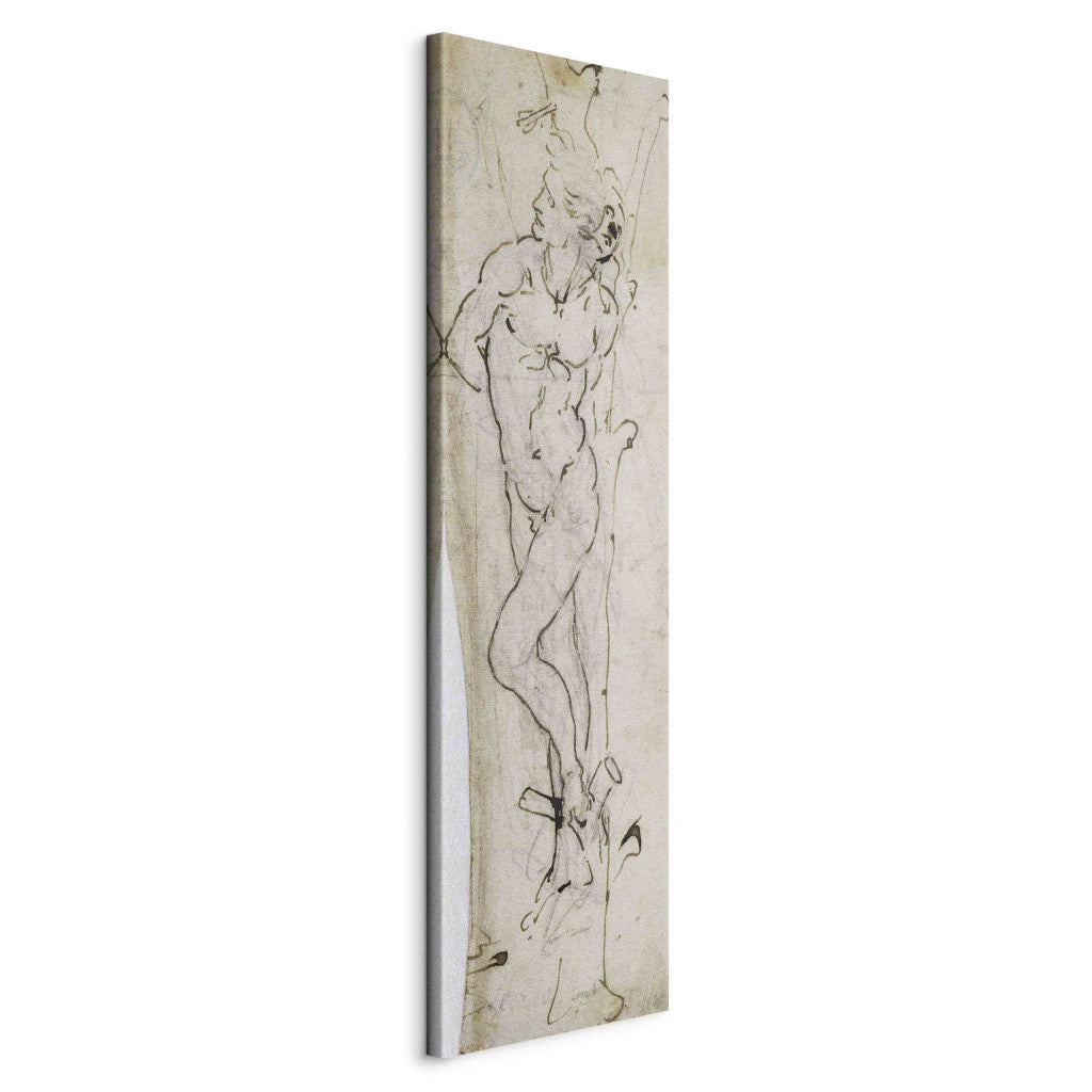 Gleznas reprodukcija - Leonardo da Vinci - Study of St. Sebastian