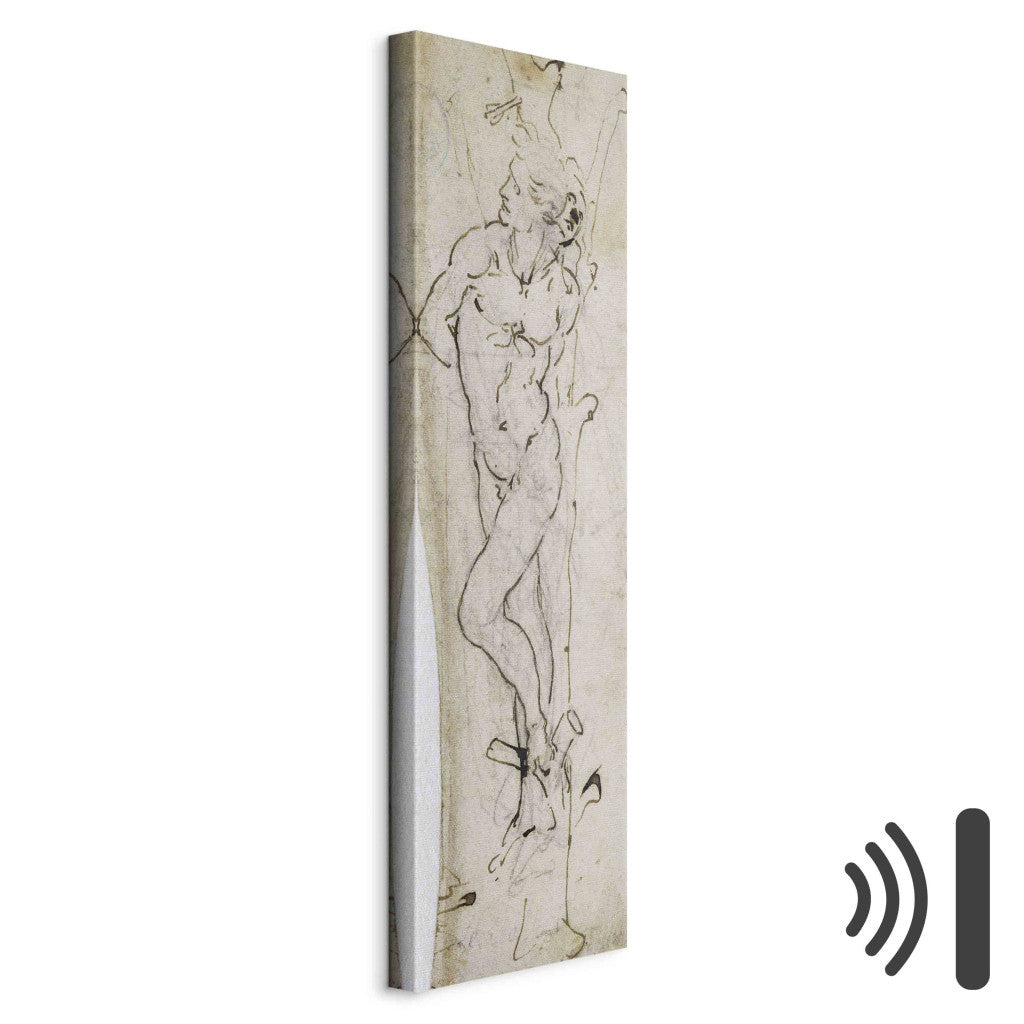 Gleznas reprodukcija - Leonardo da Vinci - Study of St. Sebastian