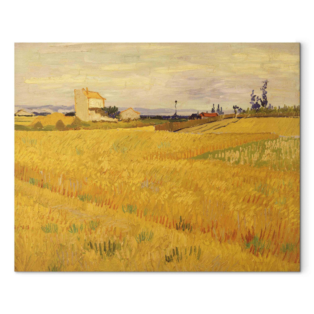 Gleznas reprodukcija - Vincent van Gogh - Cornfield