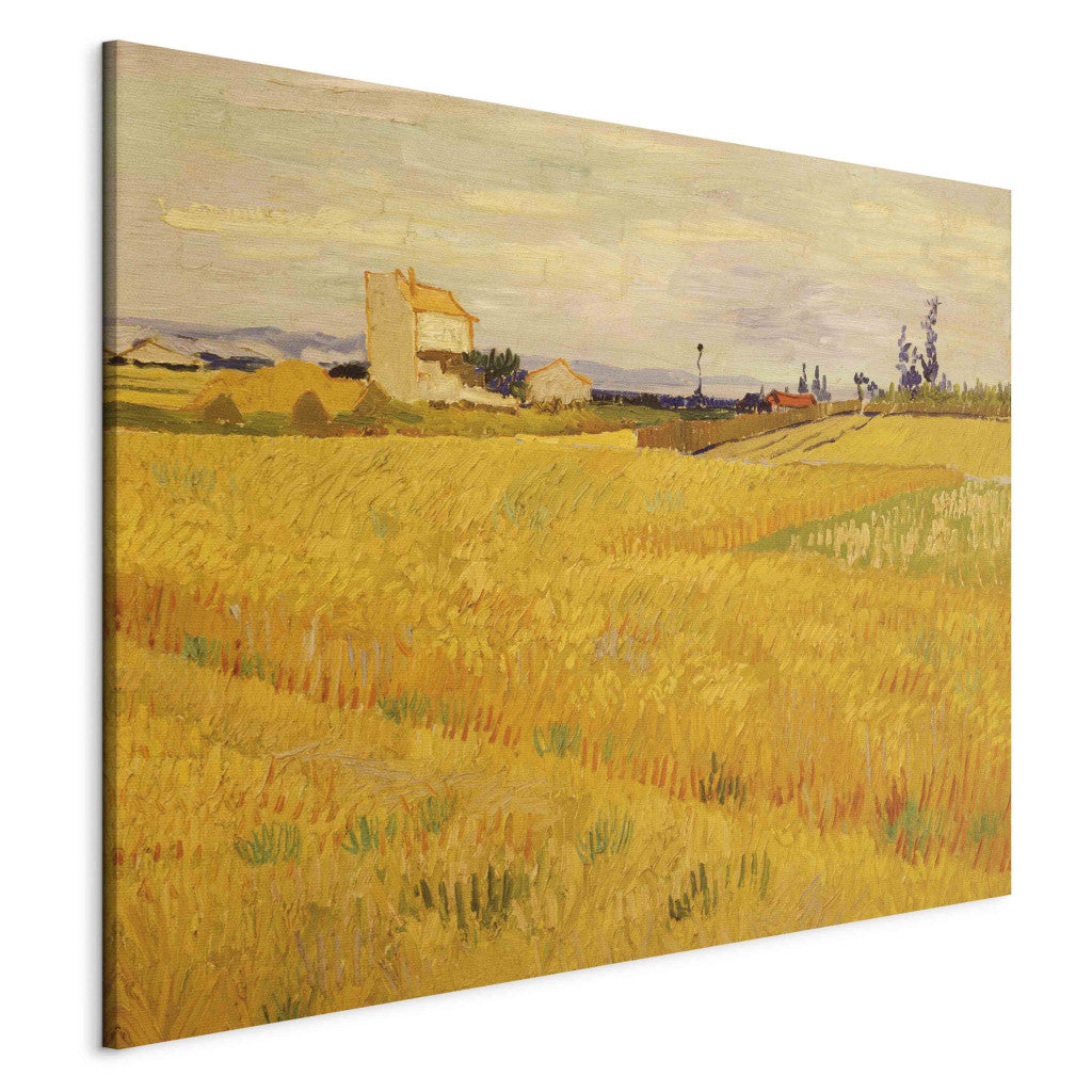 Gleznas reprodukcija - Vincent van Gogh - Cornfield
