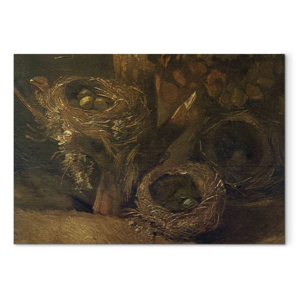 Gleznas reprodukcija - Vincent van Gogh - Bird's nests