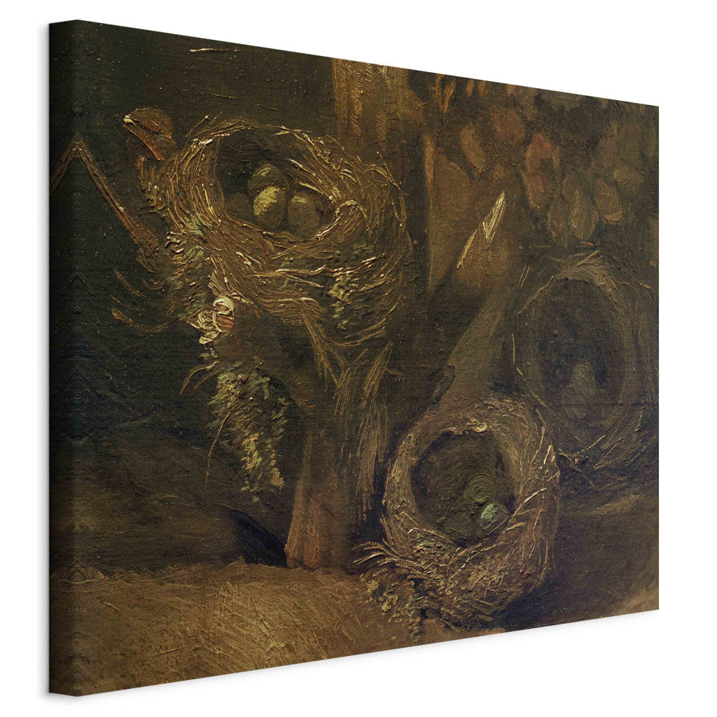 Gleznas reprodukcija - Vincent van Gogh - Bird's nests