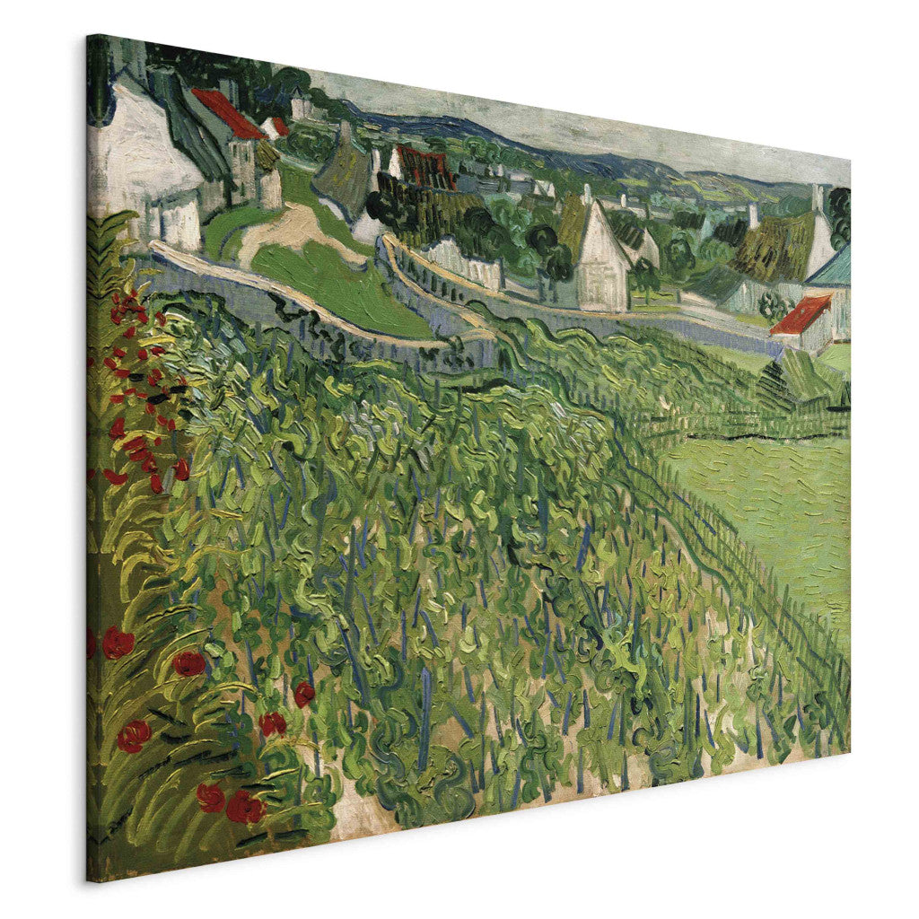 Gleznas reprodukcija - Vincent van Gogh - Vineyards at Auvers