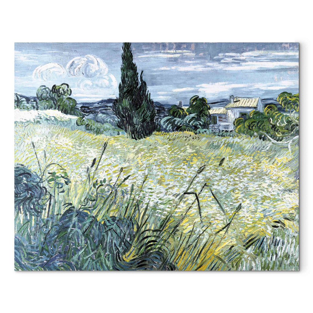 Gleznas reprodukcija - Vincent van Gogh - Green Wheatfield with Cypresse