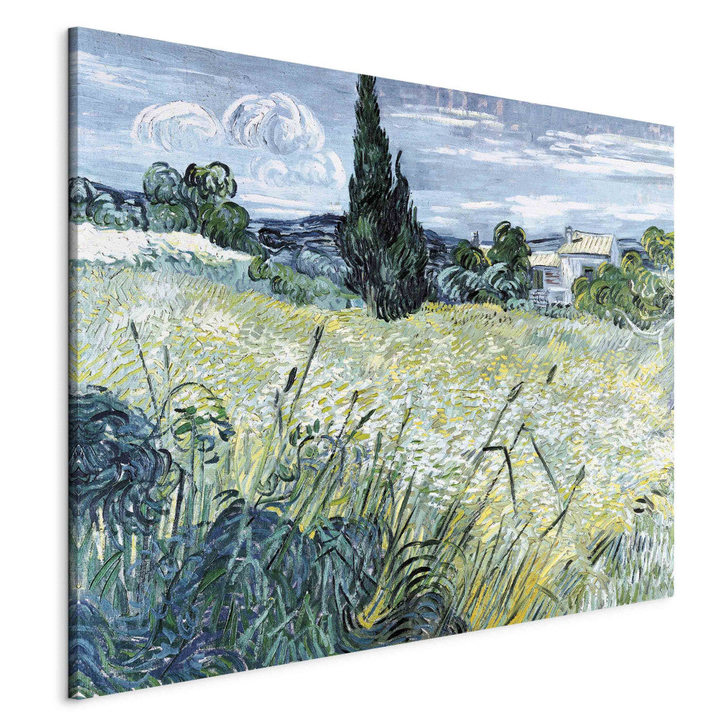 Gleznas reprodukcija - Vincent van Gogh - Green Wheatfield with Cypresse