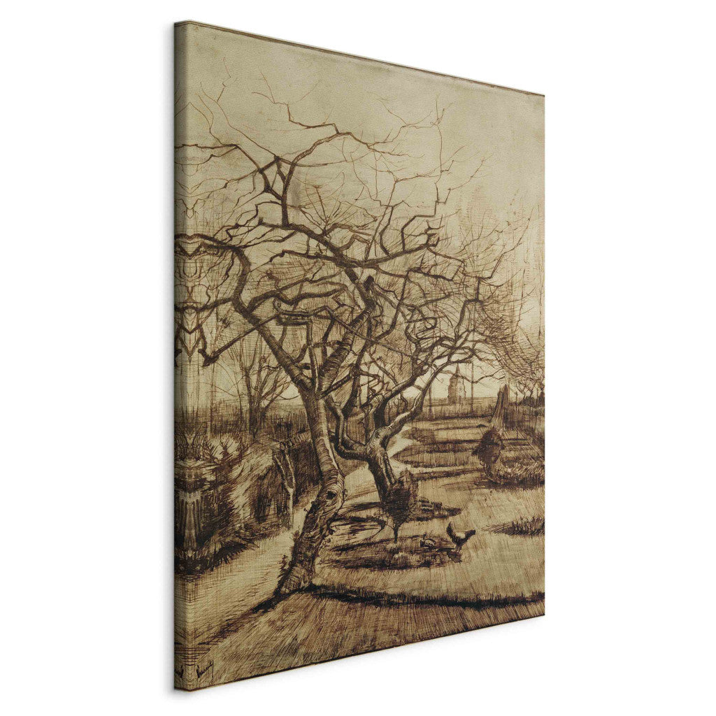 Gleznas reprodukcija - Vincent van Gogh - Parsonage Garden in Nuenen