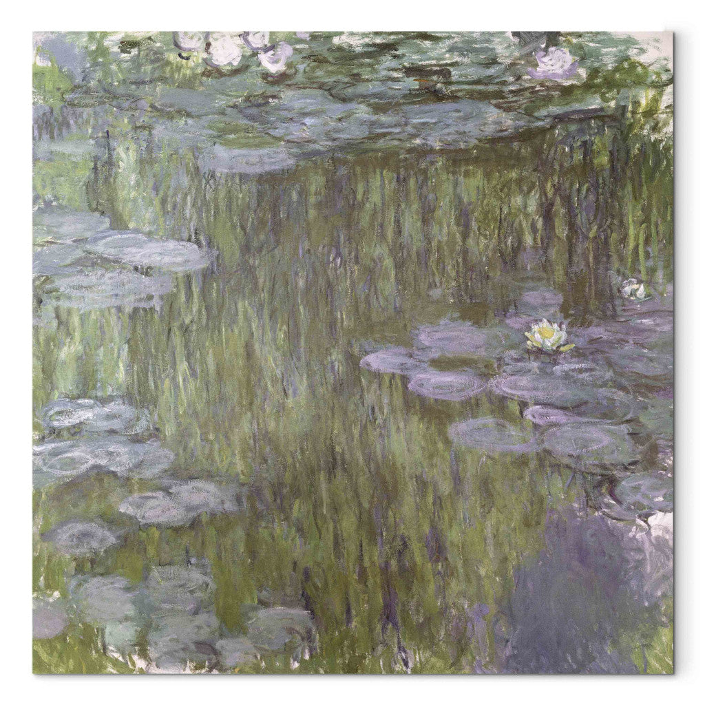 Gleznas reprodukcija - Claude Monet - Nympheas at Giverny