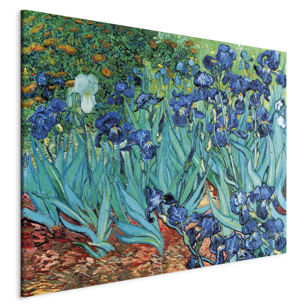 Gleznas reprodukcija - Vincent van Gogh - Irises Saint Remy