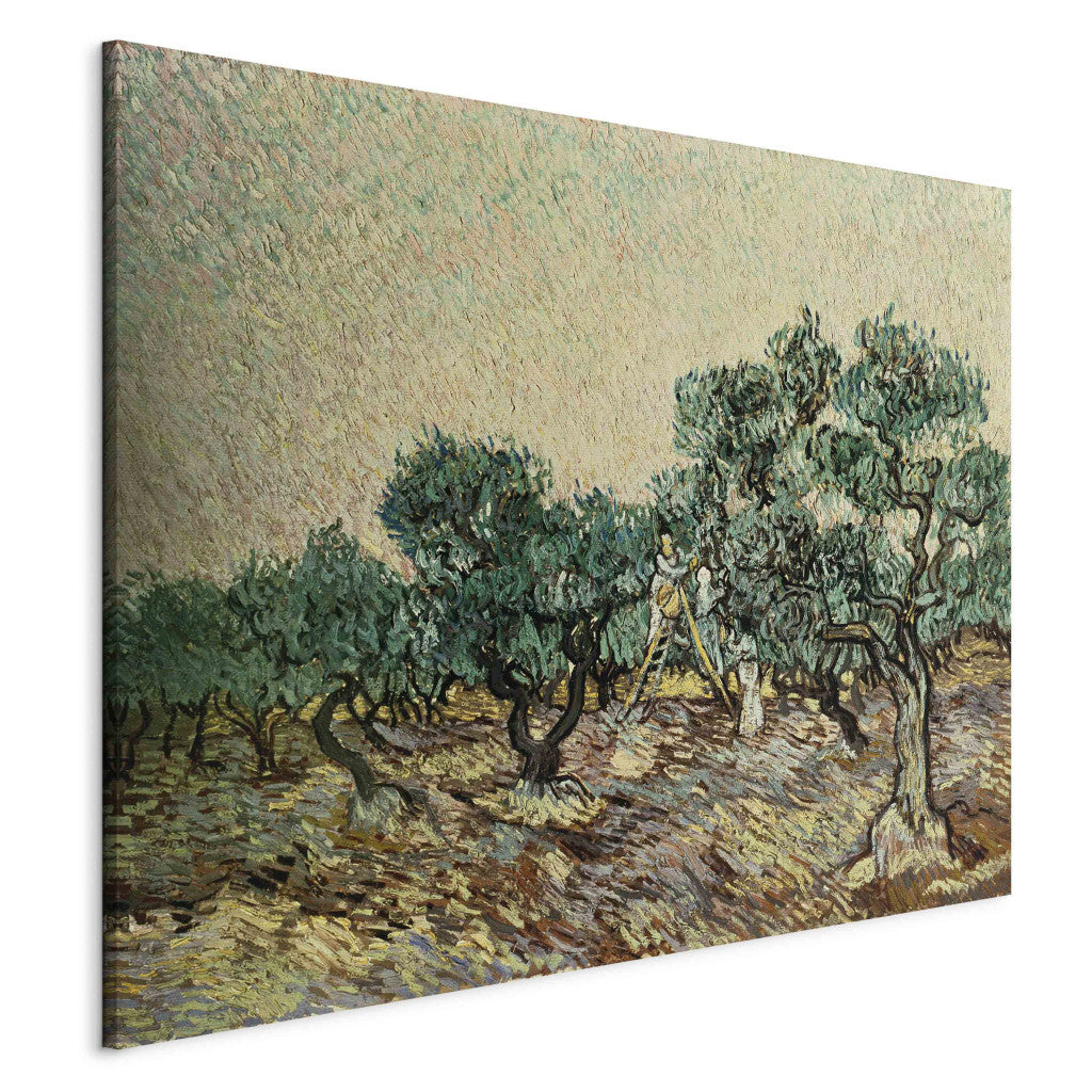 Gleznas reprodukcija - Vincent van Gogh - The Olive Gatherers