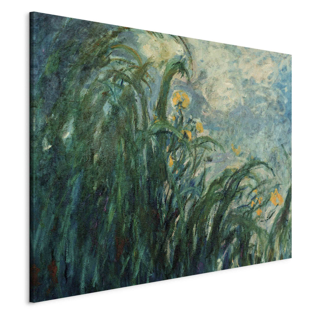 Gleznas reprodukcija - Claude Monet - Les iris jaunes