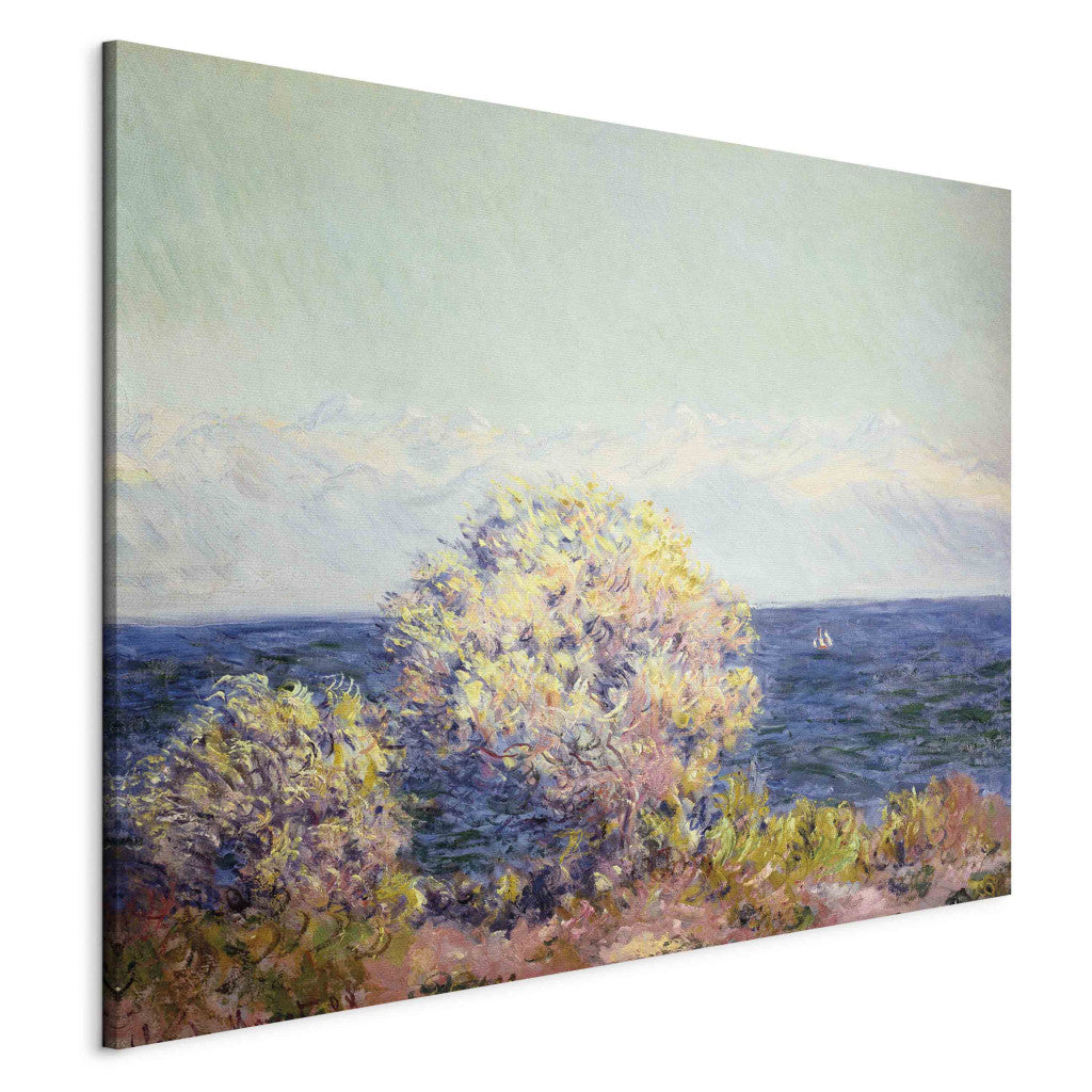 Gleznas reprodukcija - Claude Monet - Cap d'Antibes in Mistral