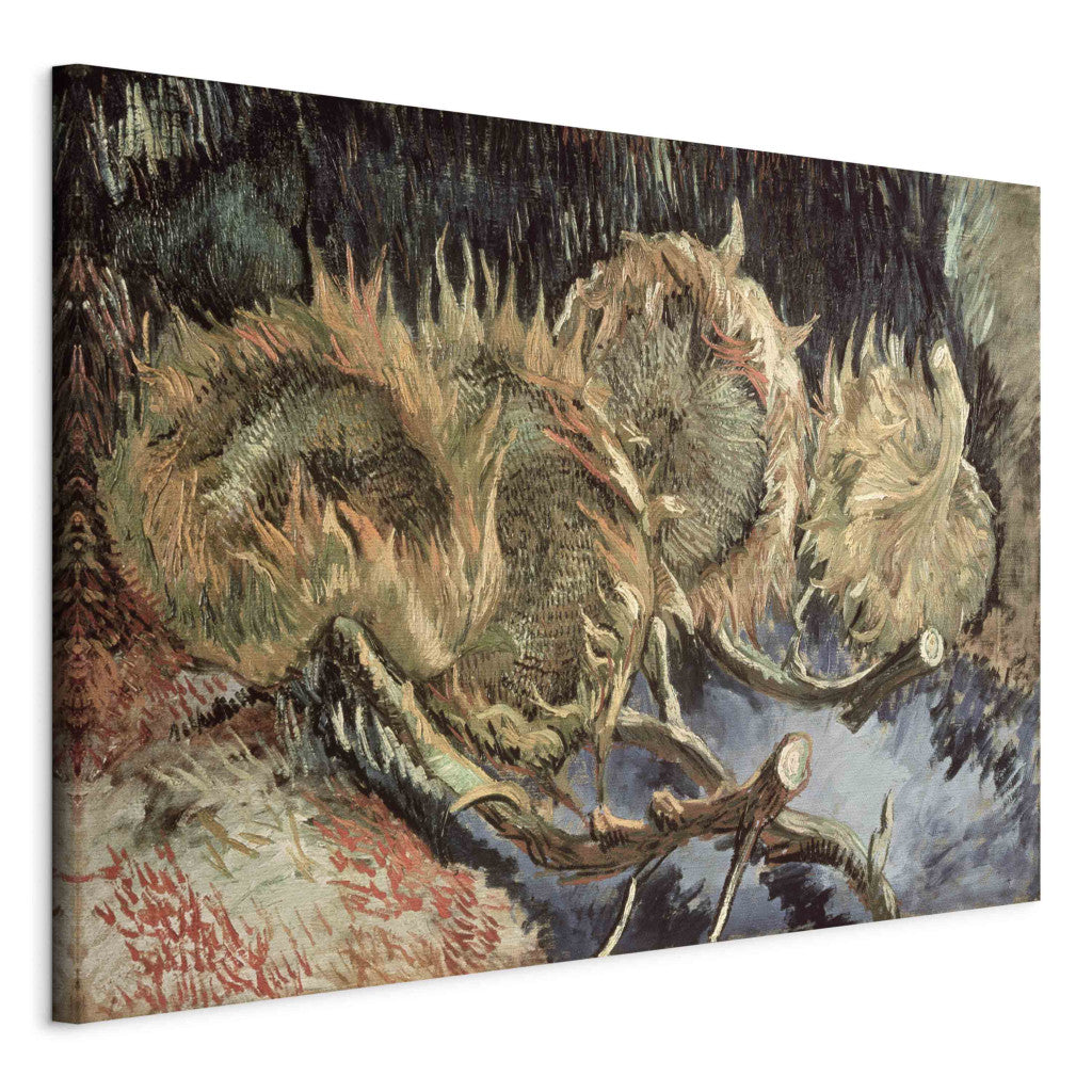 Gleznas reprodukcija - Vincent van Gogh - Four sunflowers gone to seed
