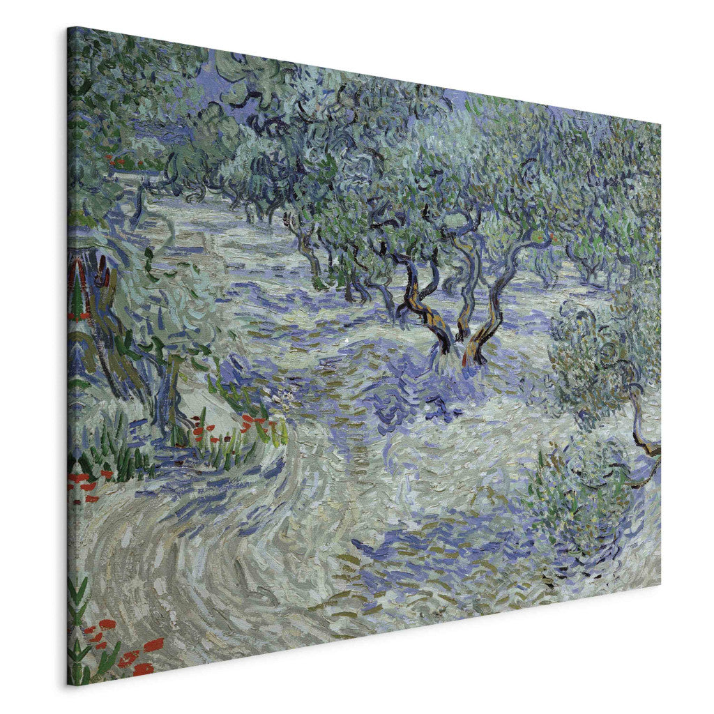 Gleznas reprodukcija - Vincent van Gogh - Olive Grove