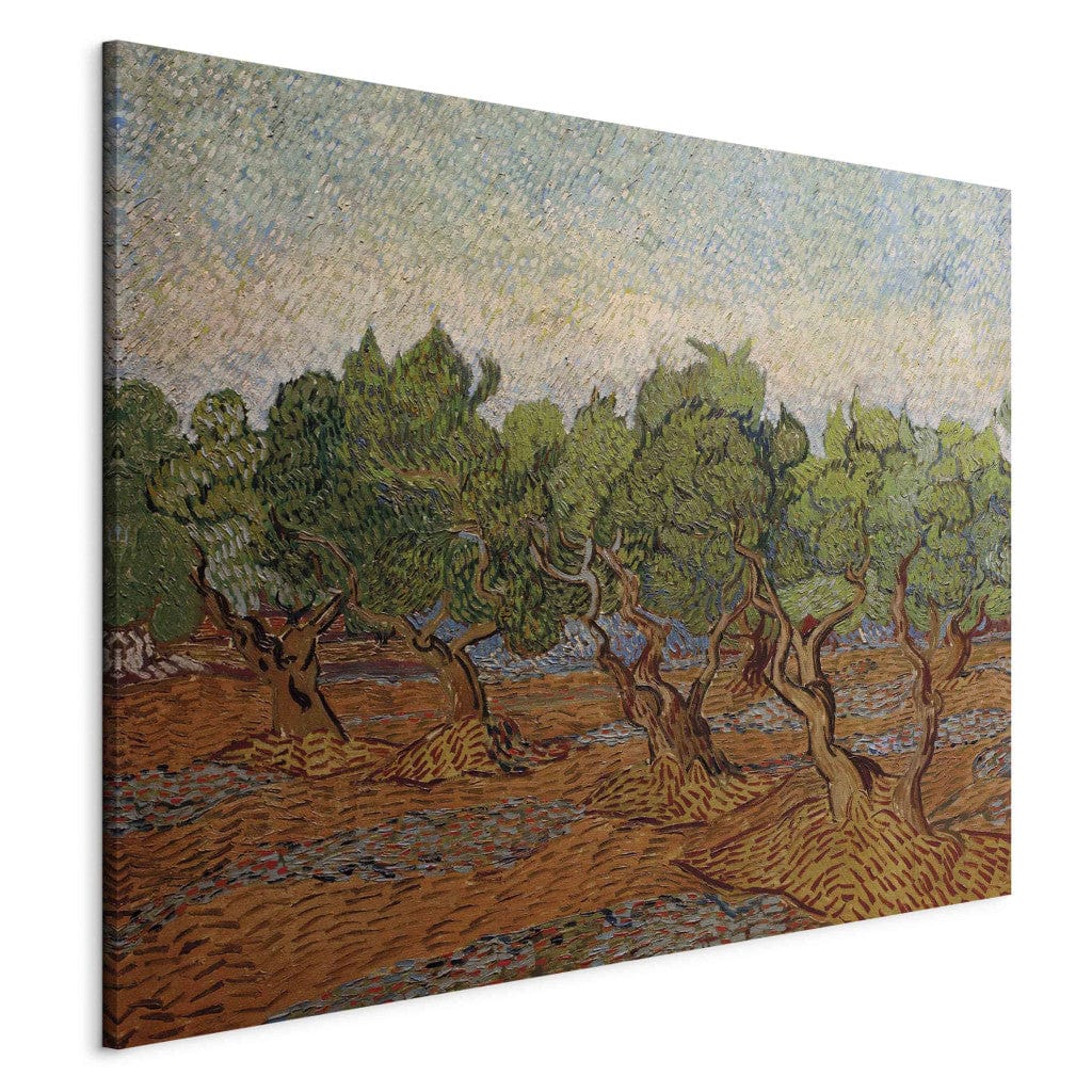 Gleznas reprodukcija - Vincent van Gogh - Olive Grove