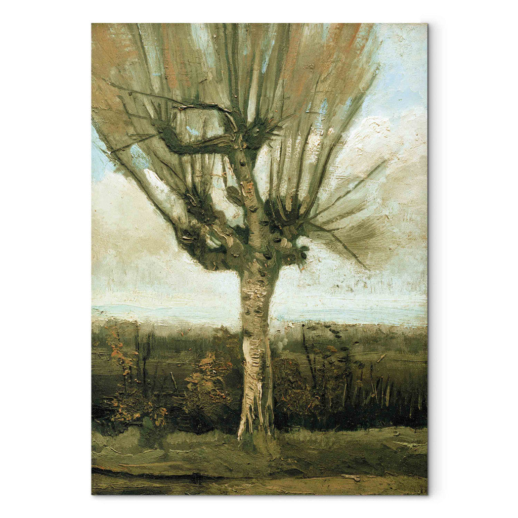 Gleznas reprodukcija - Vincent van Gogh - Common white willow