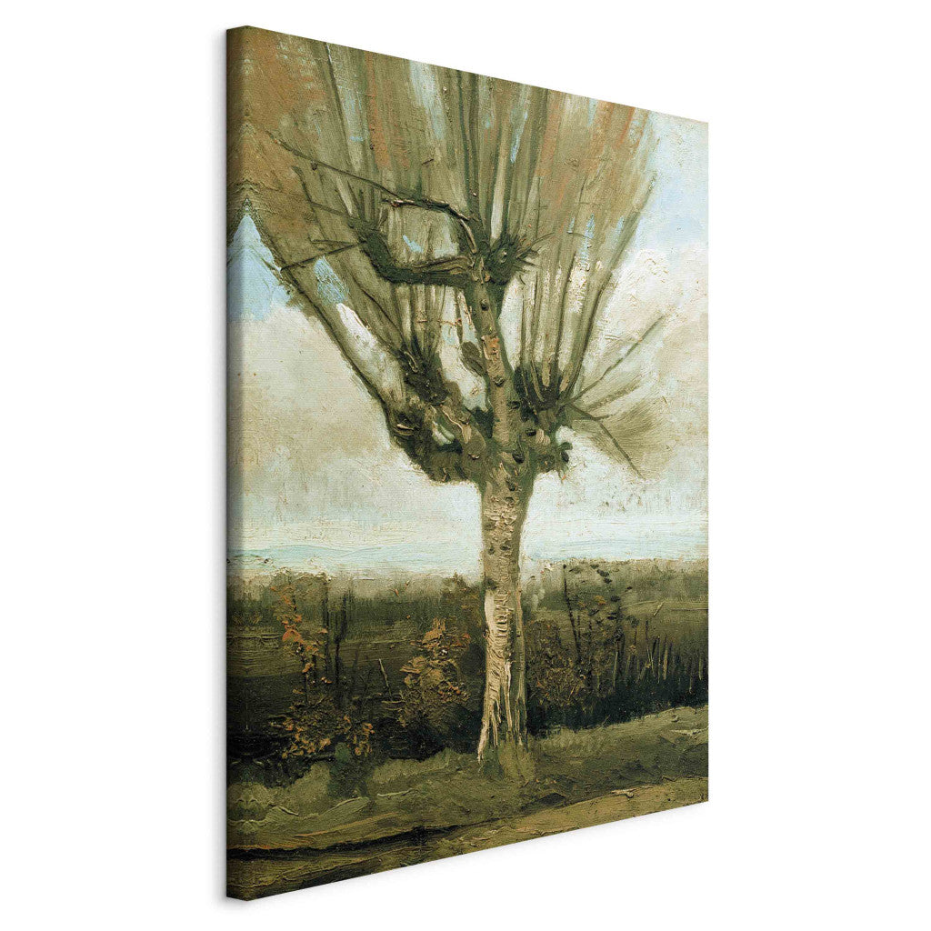Gleznas reprodukcija - Vincent van Gogh - Common white willow