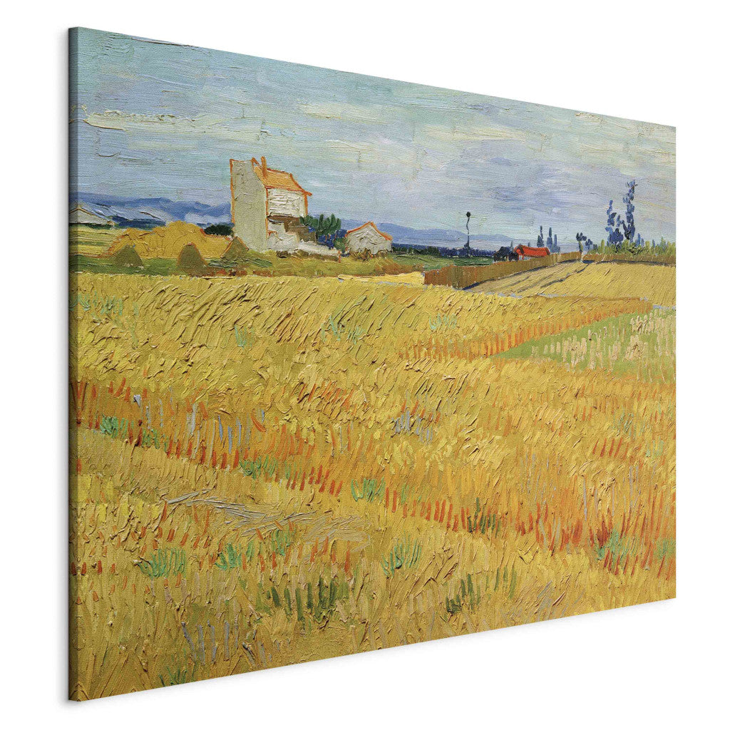Gleznas reprodukcija - Vincent van Gogh - Wheat Field