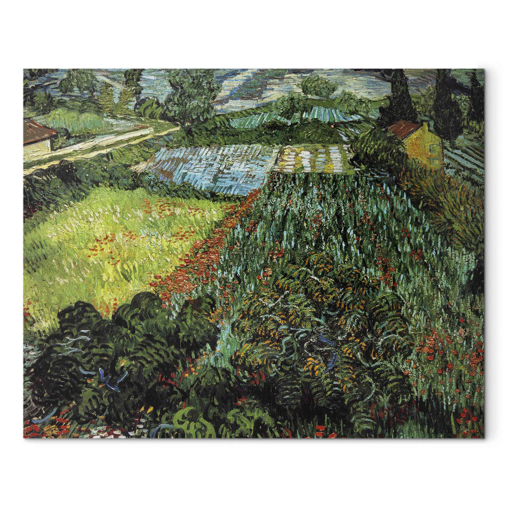 Gleznas reprodukcija - Vincent van Gogh - Field with Poppies
