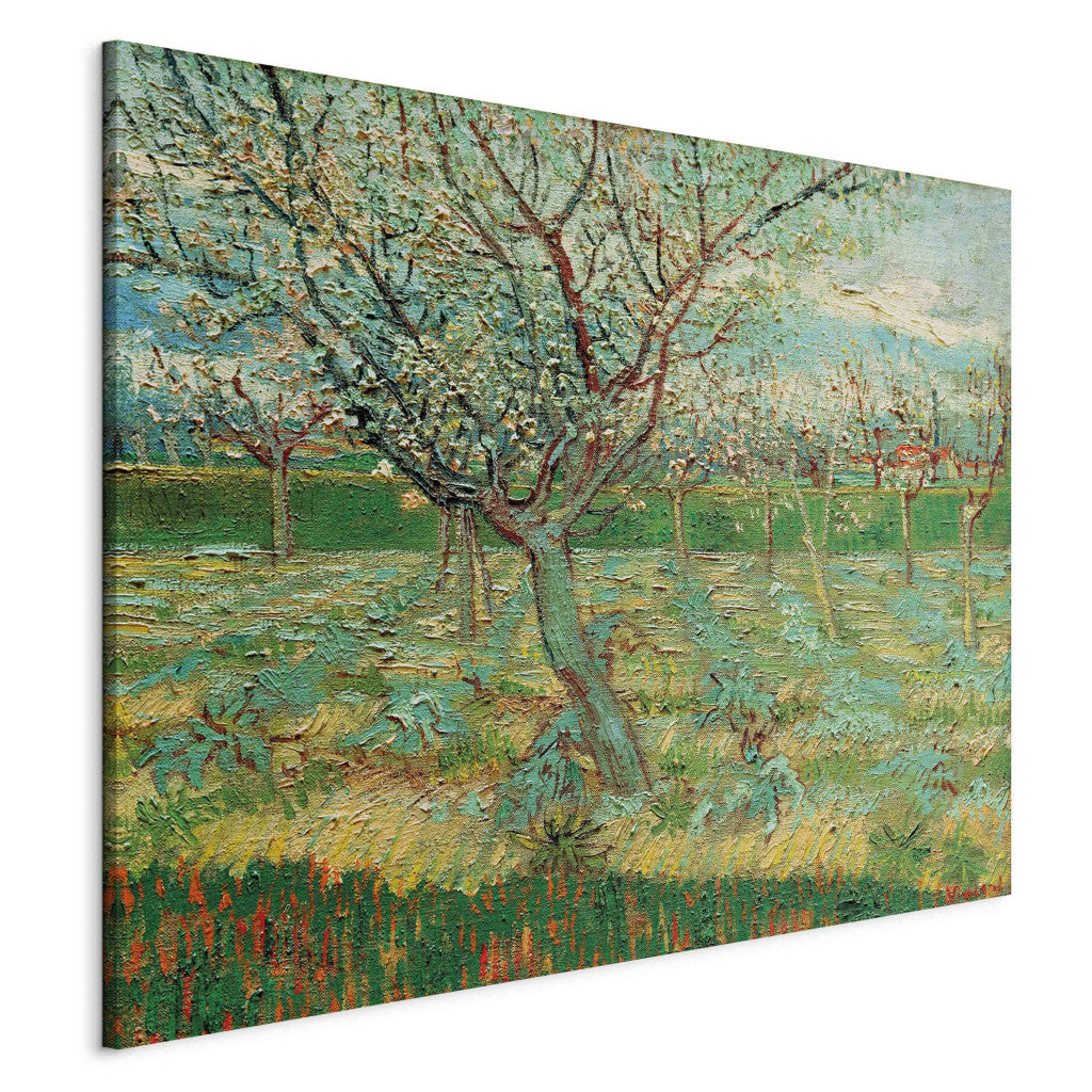 Gleznas reprodukcija - Vincent van Gogh - Orchard with Apricot Trees in Blossom