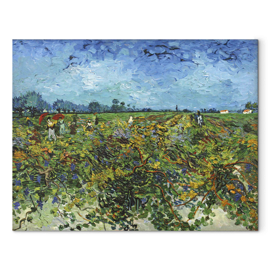 Gleznas reprodukcija - Vincent van Gogh - The Green Vineyard