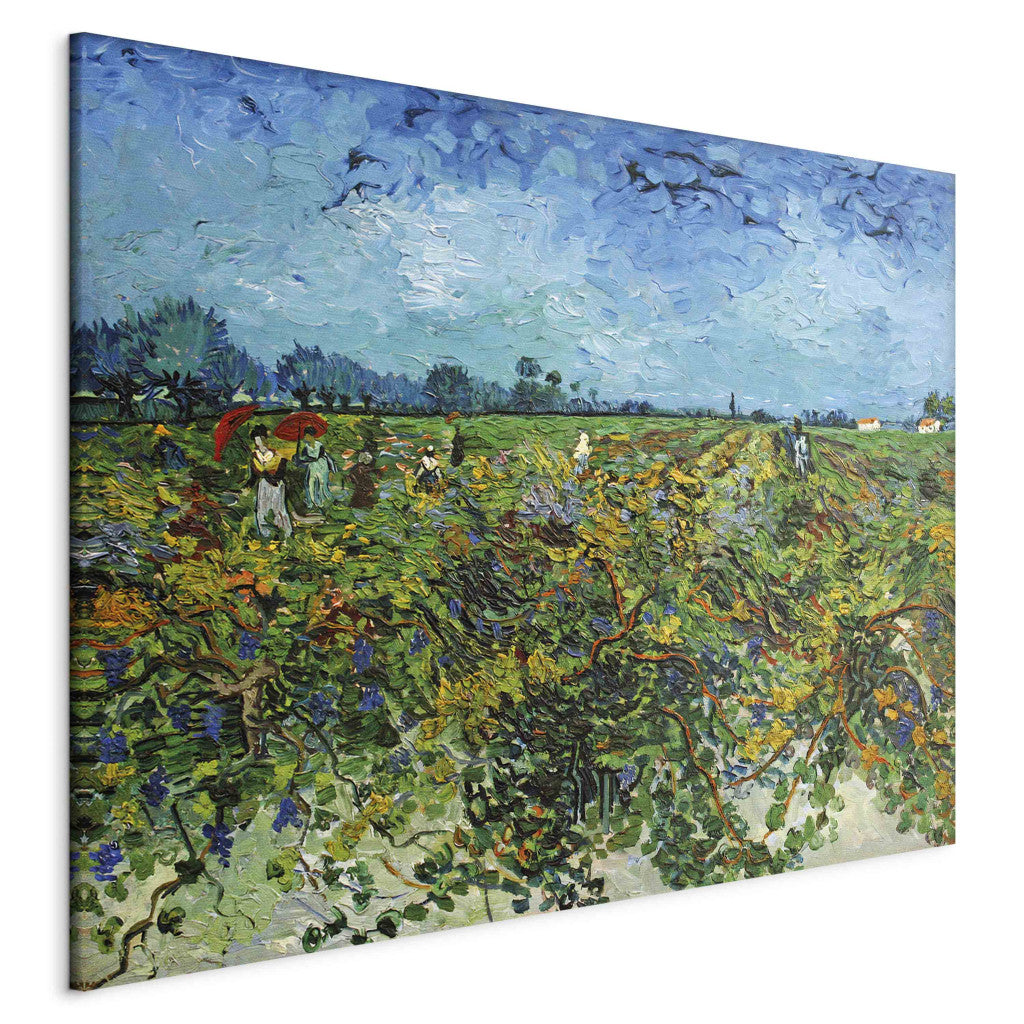 Gleznas reprodukcija - Vincent van Gogh - The Green Vineyard