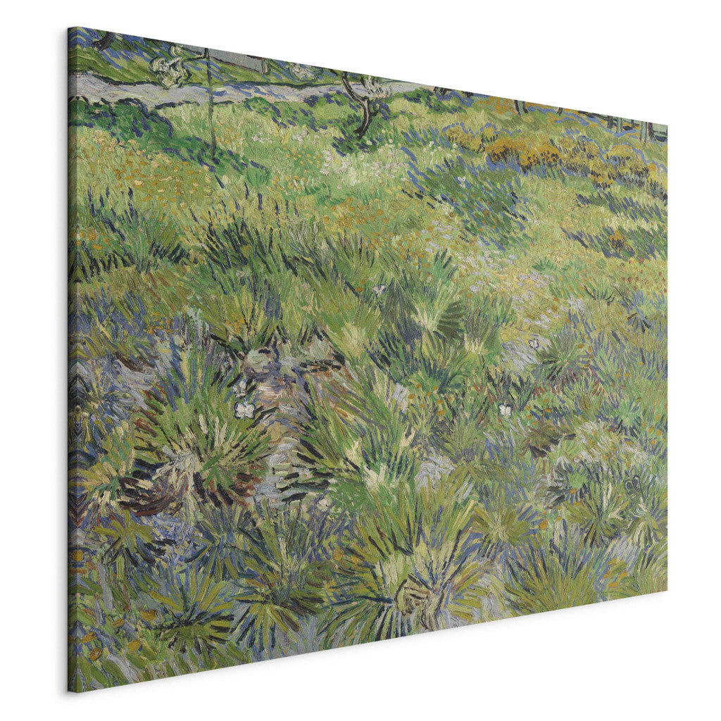 Gleznas reprodukcija - Vincent van Gogh - Wiese im Garten des Hospitals Saint -Paul
