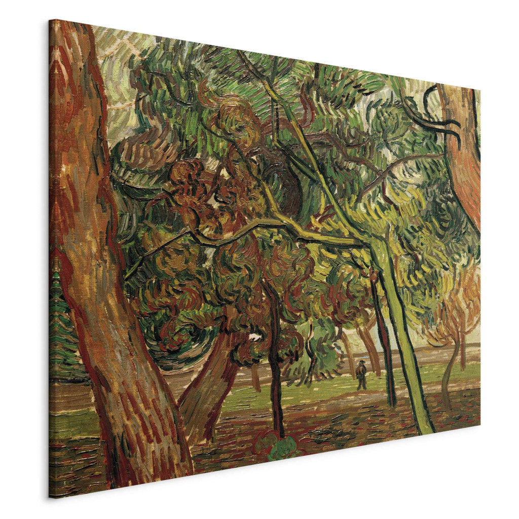Gleznas reprodukcija - Vincent van Gogh - Study of Pine Trees in Autumn