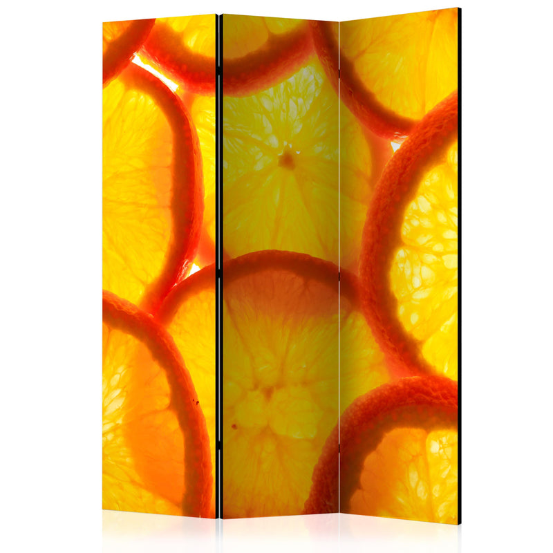 Aizslietnis 3-daļīgs - Apelsīnu šķēles (135x172cm) 135x172 cm Home Trends