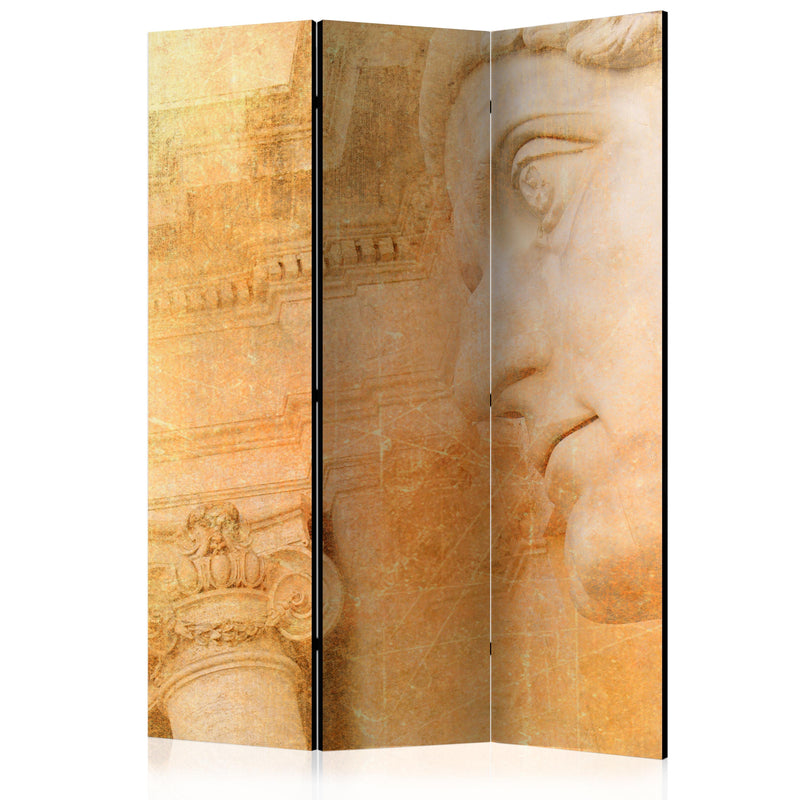Aizslietnis 3-daļīgs - Grieķu dievs (135x172cm) 135x172 cm Home Trends