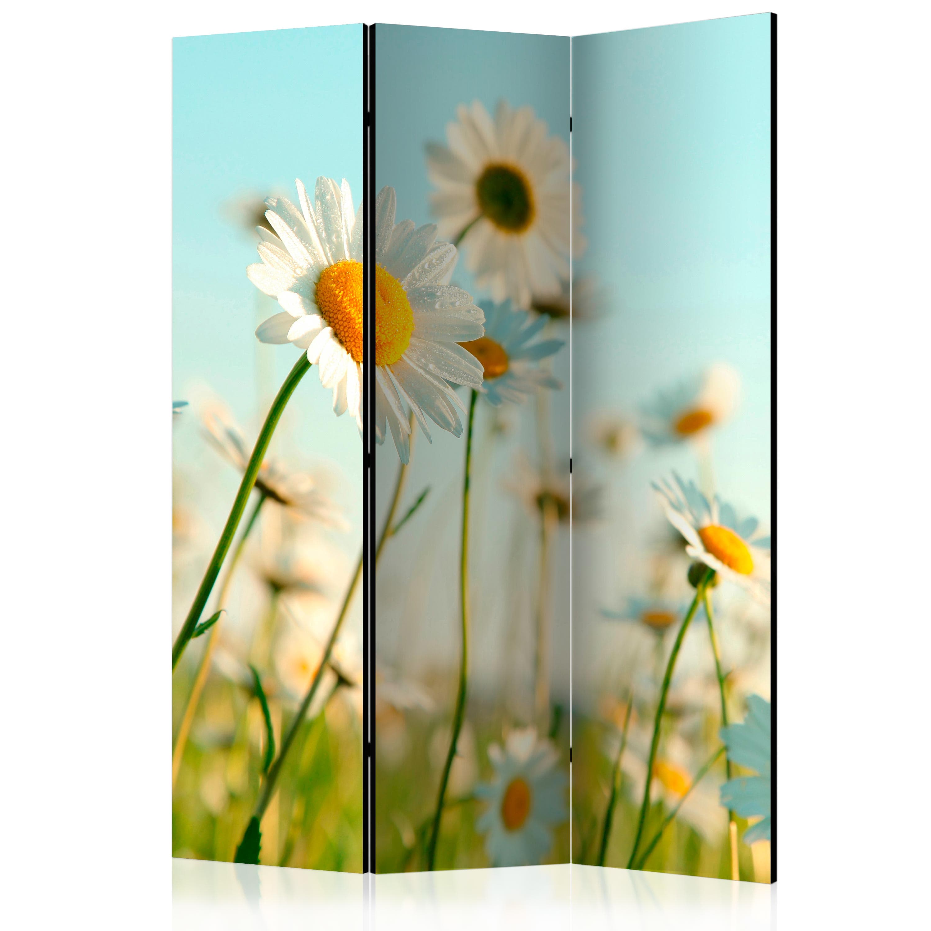 Aizslietnis 3-daļīgs - Margrietiņas - pavasara pļava 1. versija (135x172cm) 135x172 cm Home Trends