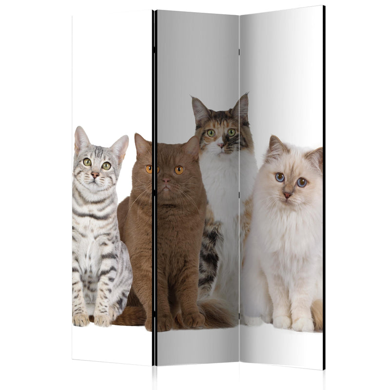 Aizslietnis 3-daļīgs - Mīļie kaķi (135x172cm) 135x172 cm Home Trends